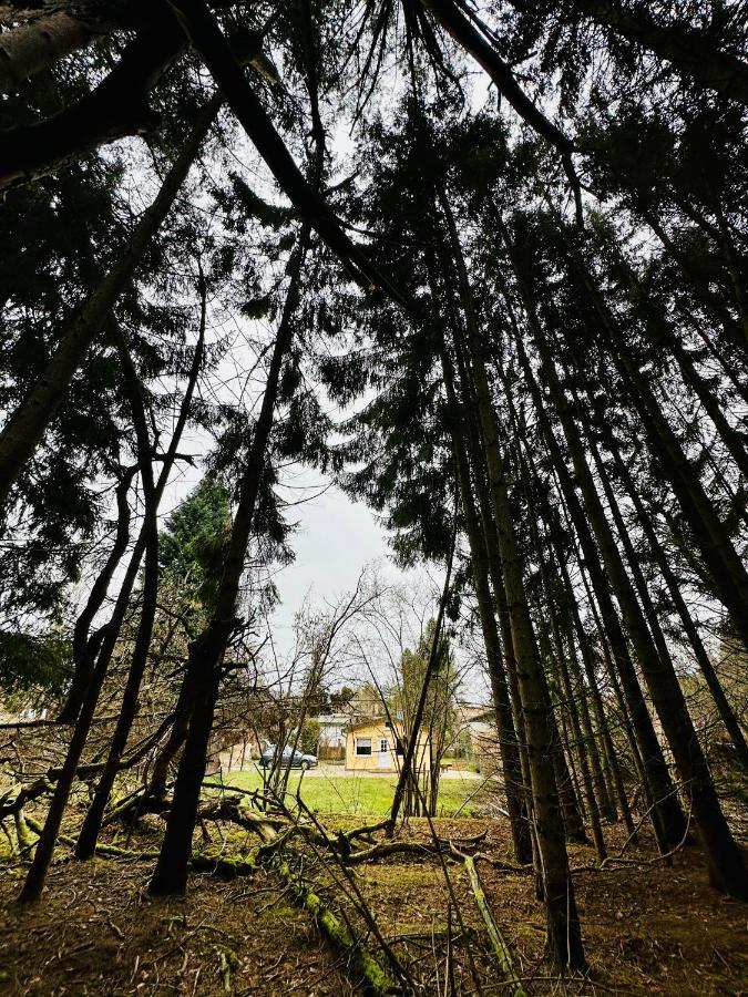 Ferienhaus Biber Godendorf  Eksteriør billede